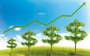 img-341650-credito-farto