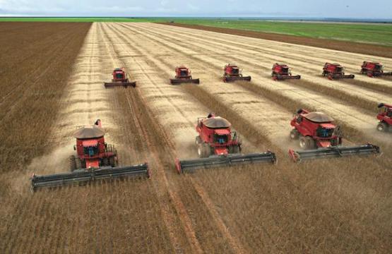 img-340592-dinheiro-novo-no-campo