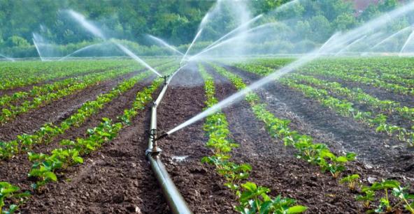 Reutilización-del-agua-en-la-agricultura-900x468