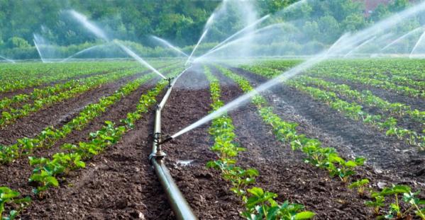 Reutilización-del-agua-en-la-agricultura-900x468