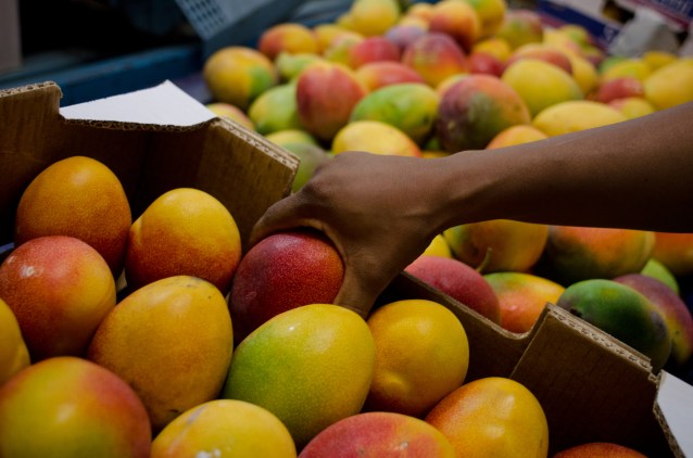 codevasf-investe-em-irrigao_8673046172_o1