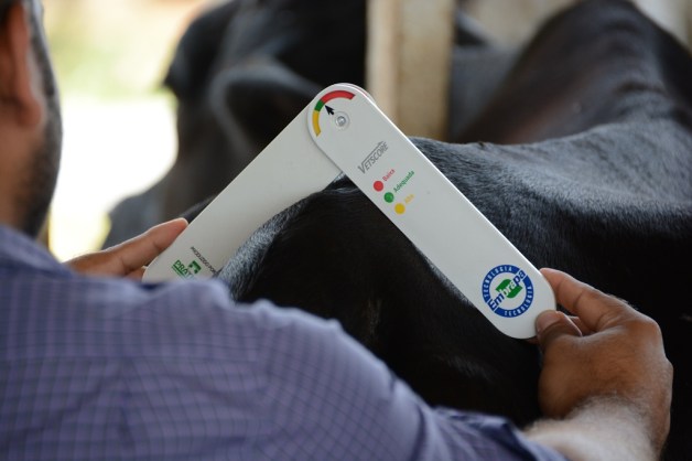 Vetscore_foto_Rafael Rocha