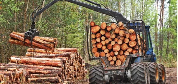 close_florestas-770x365