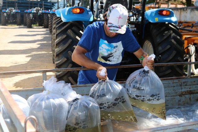 45558067615_27eb0b551d_k