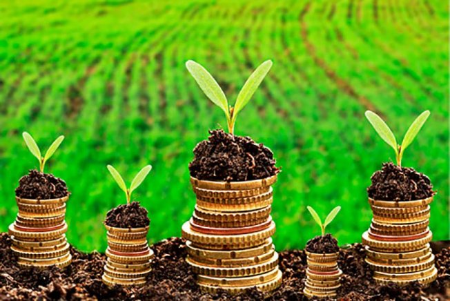 b15d6a6be980880f1c739d4e60f25f09_agrorondonia_cacoal