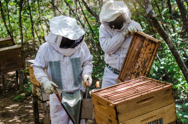 36066194221_daccd9ec84_k