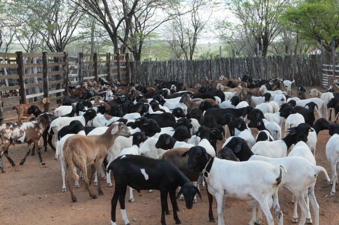 48495921951_38062a0b47_k